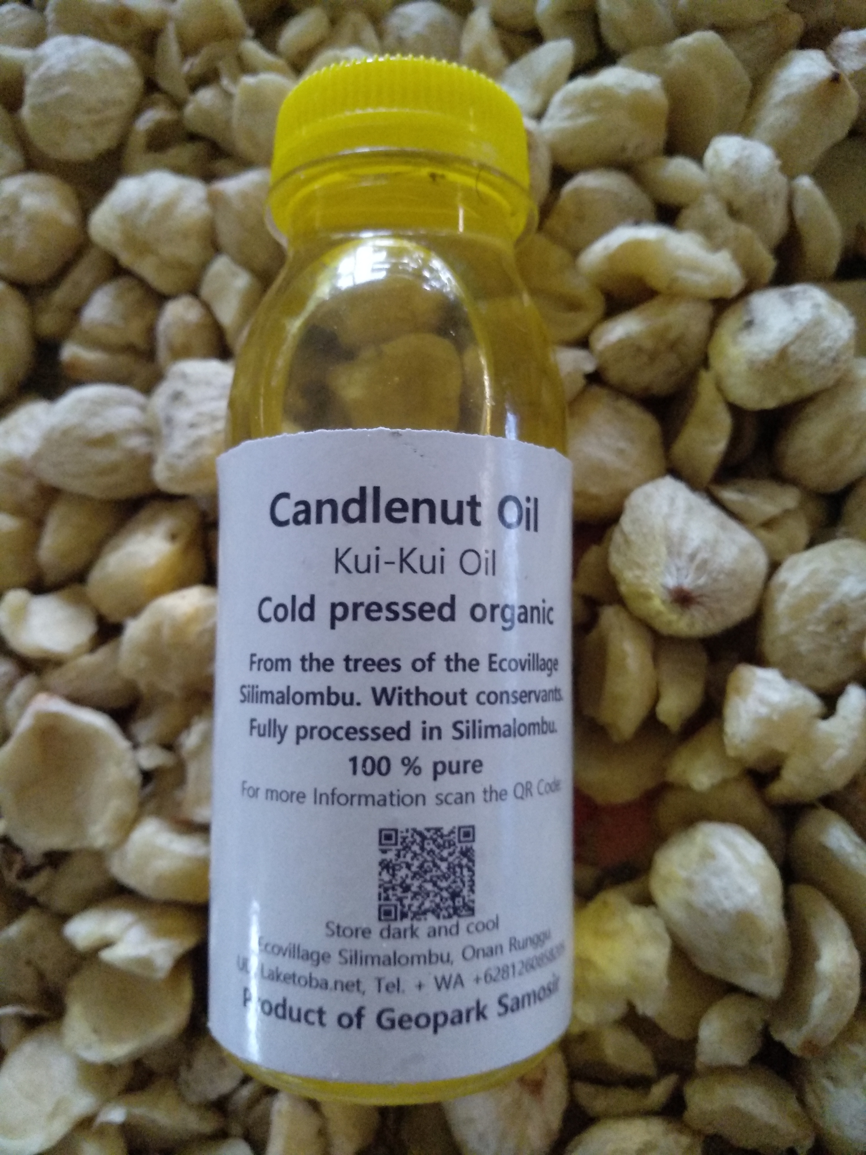 Kuikui Oil Organic cold pressed Candlenut Oil from Silimalombu Lake